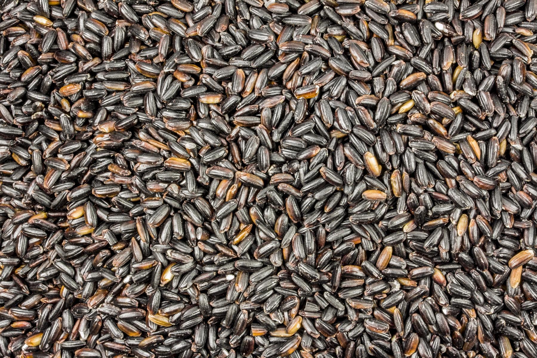 Ekologisk svart långkornsris 25kg