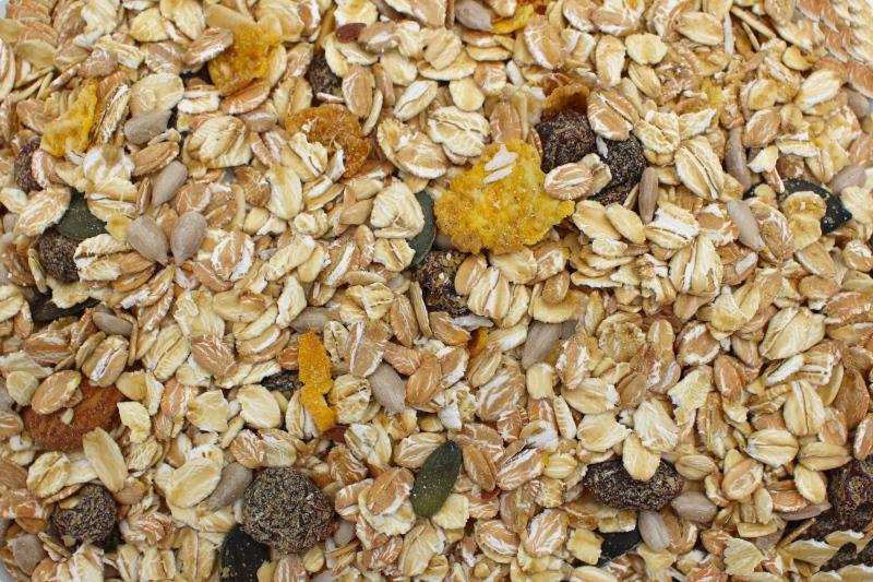 Müsli Vital Ekologisk 12,5kg