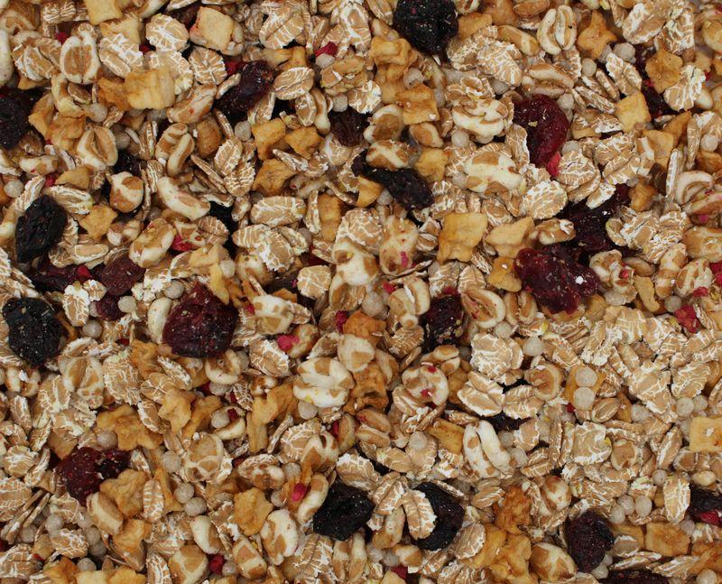 Müsli Dinkel med frukter Ekologisk 12,5kg