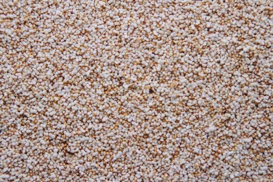 Ekologisk puffad amarant 15kg