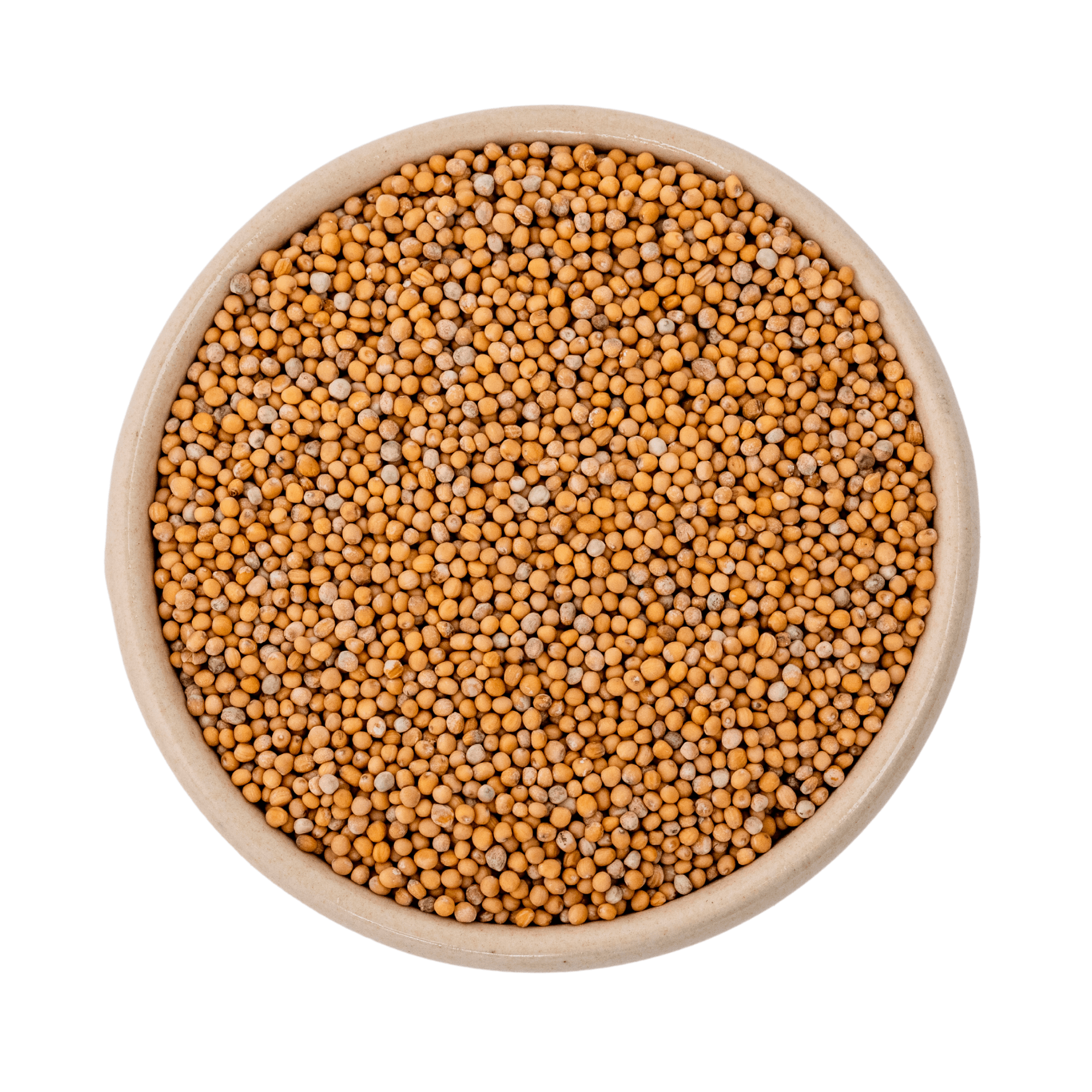 Hel ekologisk gul senapfrö 1kg