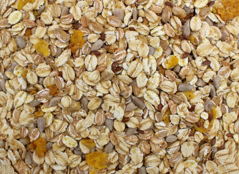 Müsli utan russin Ekologisk 25kg