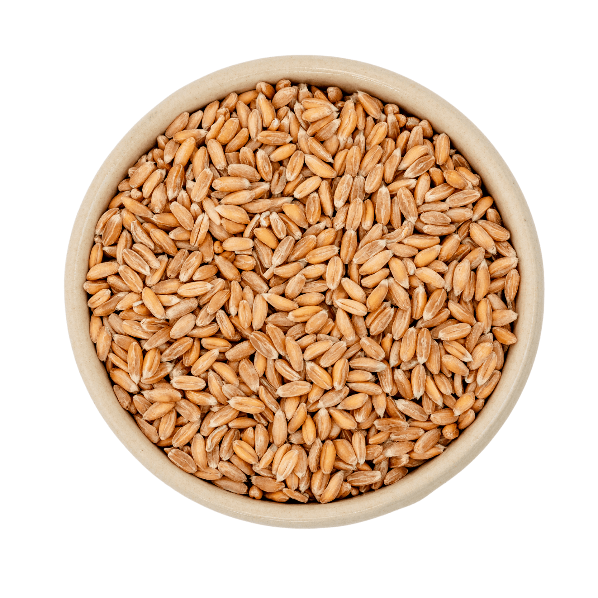 Ekologisk dinkel 25kg