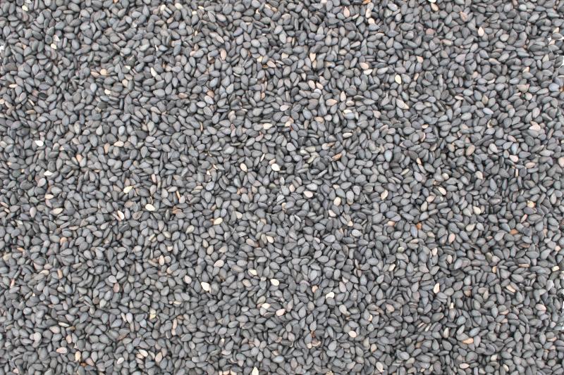 Ekologisk svart sesamfrö 6x250g