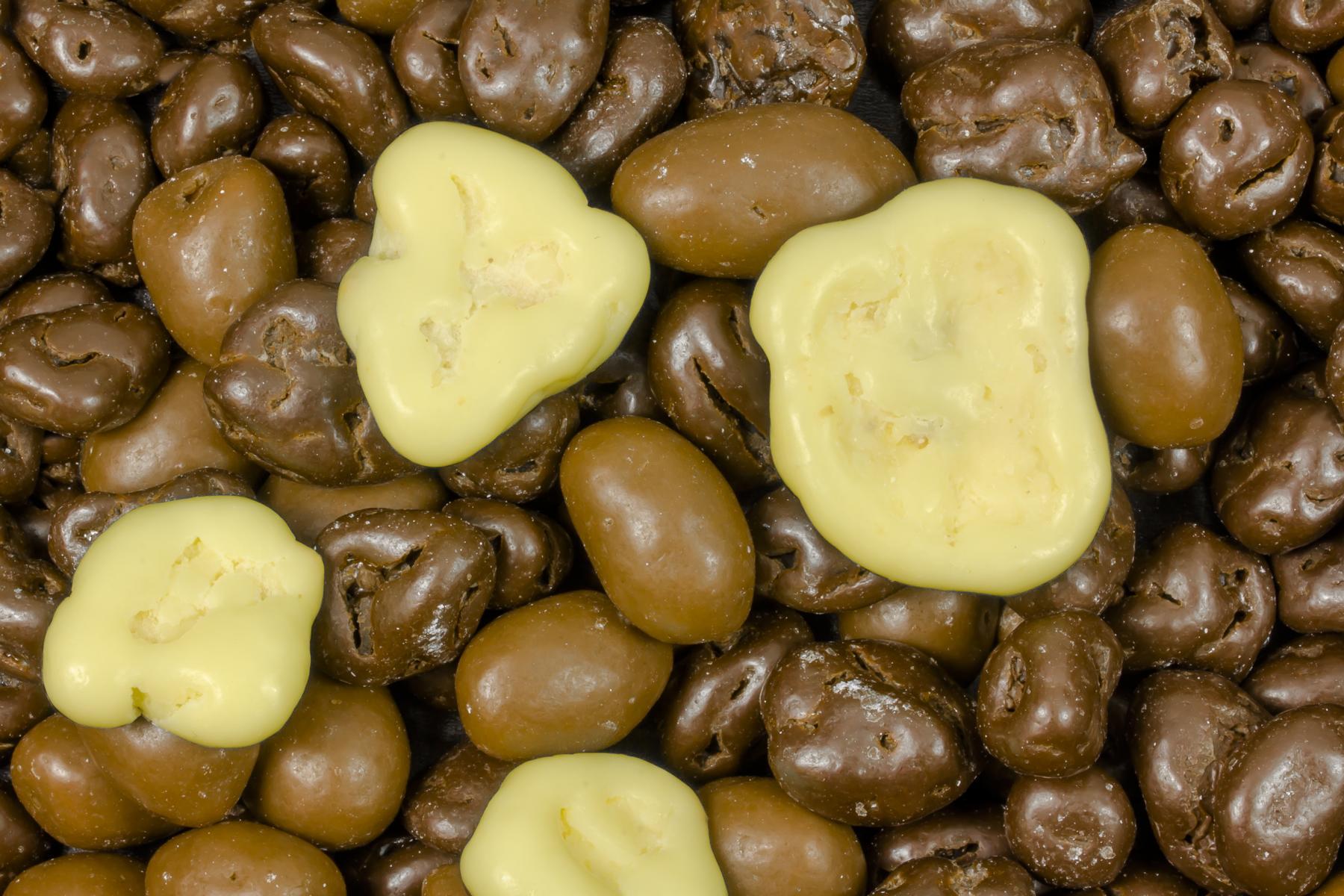 Blandning av nötter och torkade bär smaksatta med choklad Ekologisk 5kg