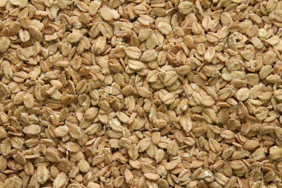 Crunchy Dinkel Ekologisk 25kg