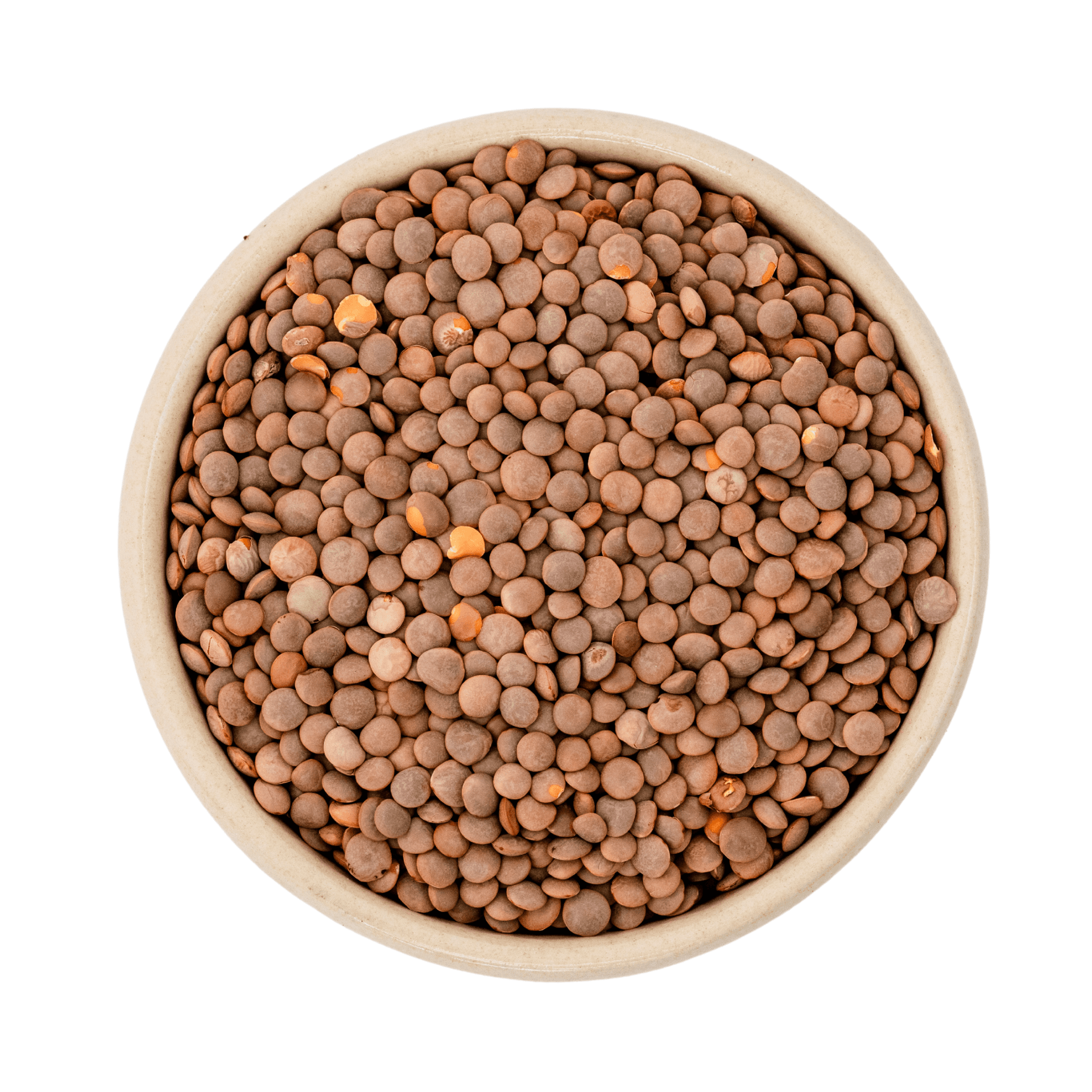 Berglinsen bruna Ekologisk (Gourmet) 5kg