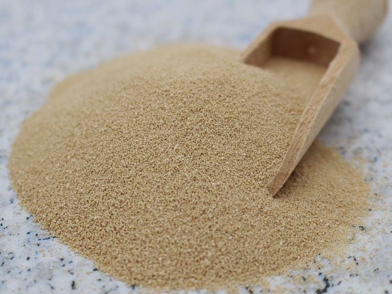 Jäst "Mäster Bagerijäst" torr glutenfritt ekologisk 1x390g BioVegan